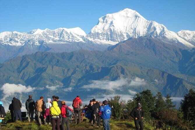 Annapurna Sanctuary Trek - 14 Days - Tadapani to Chhomrong to Sinuwa/Bamboo: steps, forests, and “stomach-friendly” pacing