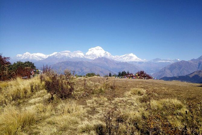 Annapurna Sunrise Trek - Key Highlights You’ll Feel on This Trek