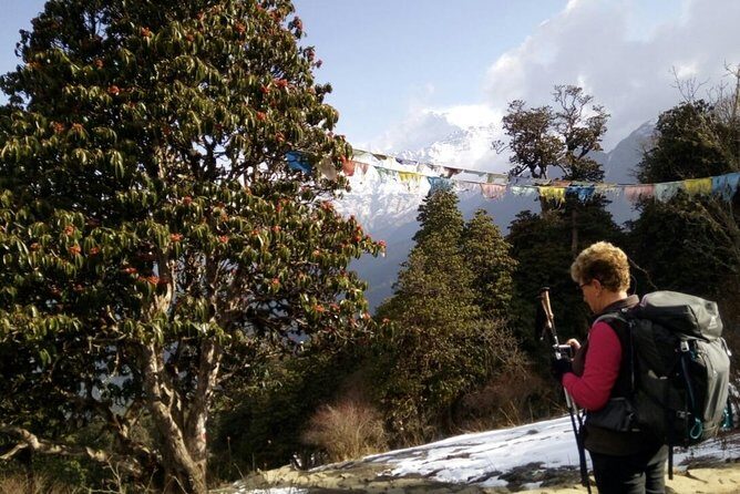 Annapurna Sunrise Trek - Poon Hill Before Dawn: The Moment You Booked For