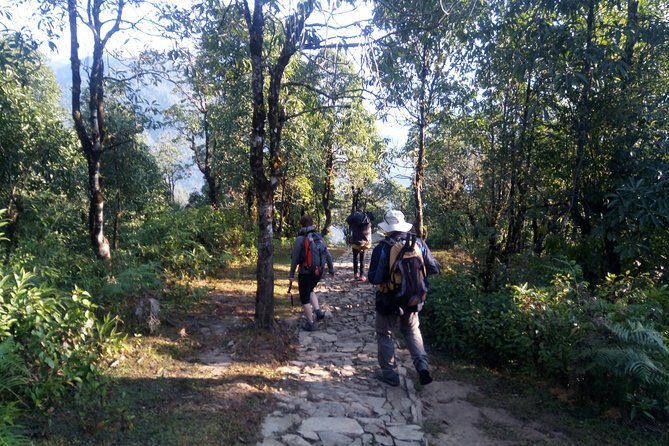 Annapurna Sunrise Trek - The 7-Hour Tourist Bus to Pokhara and a Real Lake Break
