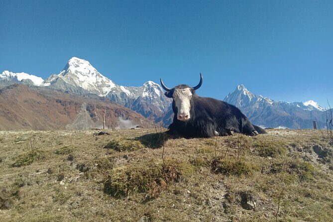 Annapurna View Trek - Packing for comfort on a short Himalayan hike