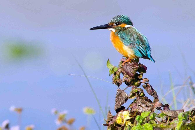 Best of Nepal Luxury Adventure Tour Package - 9 Days - Key takeaways before you go