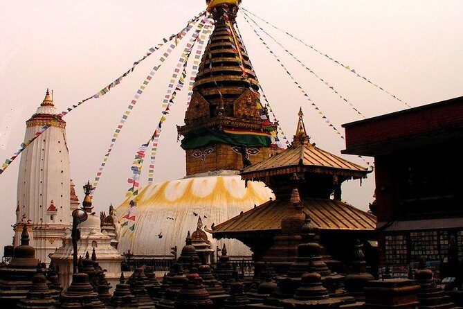 Best of Nepal Luxury Tour Package - 8 Days - Day 4 Chitwan National Park: Jeep Safari Plus Jungle Walking and Canyoning