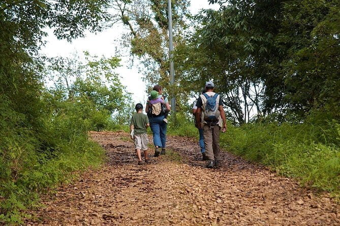 Birding Hike: Day Birdwatching in Kathmandu - Key points to know before you go