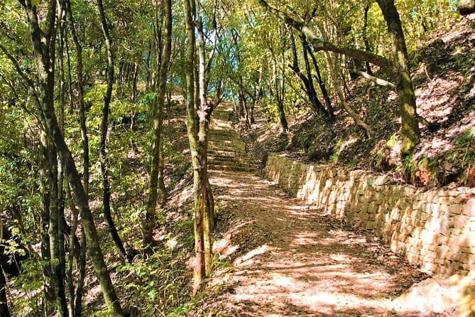 Birding Hike: Day Birdwatching in Kathmandu - Guide matters: Krishna Thapa’s bird-finding style and Prem’s bird-attraction tips