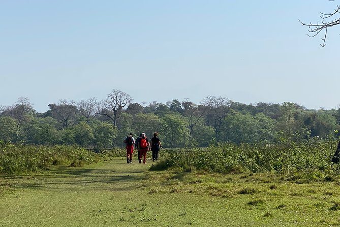 Canoeing and Nature Walk in Chitwan National Park - Where Chitwan Fits: Sauraha and a “Half-Day” That Feels Big