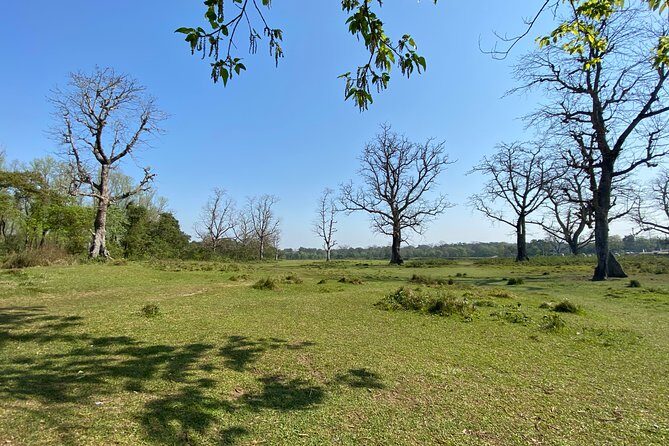 Canoeing and Nature Walk in Chitwan National Park - The One-Hour Nature Walk: How It Changes the Experience