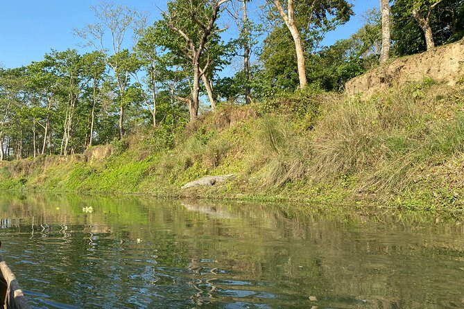 Chitwan Jungle Safari Tour - Tips to get the best experience in Chitwan