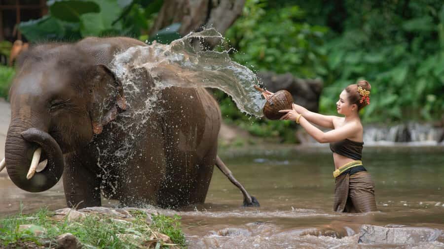 Chitwan: Jungle Safari Tour with Canoe Ride in Forest River - Chitwan in 3 Days: How the Rhythm Helps You See More