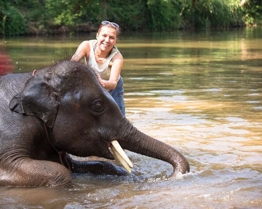 Chitwan: Jungle Safari Tour with Canoe Ride in Forest River - Tharu Culture and Night Walks: The Human Side of Chitwan
