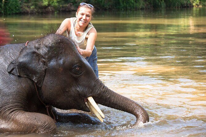 Chitwan National Park Tour - Day 1 in Chitwan: check-in, welcome drink, evening walk, and Tharu culture