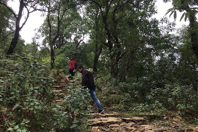 Day hiking to Dhampus - Astam Village - Getting There: Phedi Start, Pickup Comfort, and a Simple Route Back