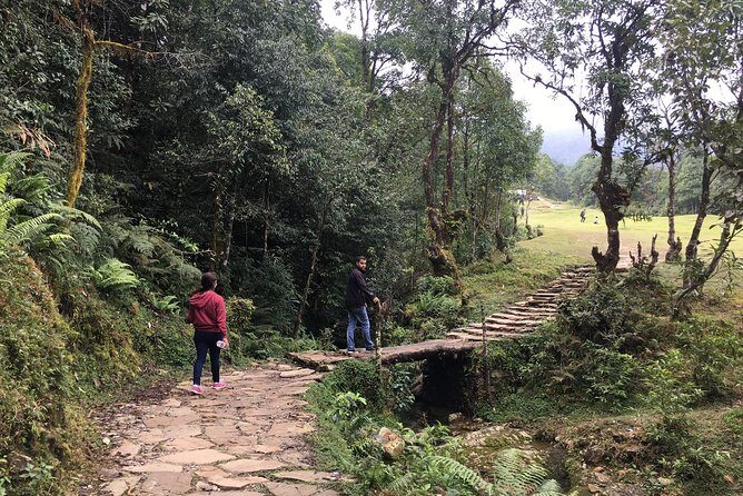Day hiking to Dhampus - Astam Village - Astam Stop: Close Views, Homestay Village Vibes, and the Descent Toward Hemja