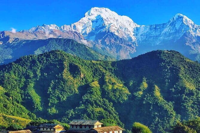 Easy Day Hiking to Australian Camp from Pokhara - Price and value: what $100 buys you here