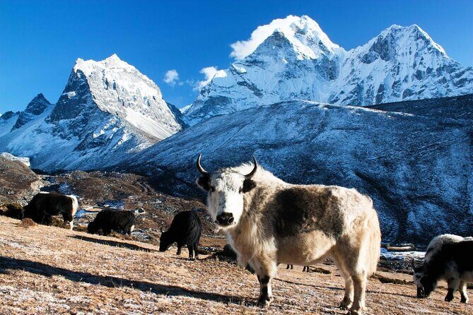 Everest Base Camp Helicopter Tour - Key things to know before you go