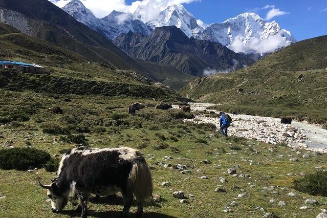 Everest Base Camp Helicopter Tour landing at Everest View Hotel - Timing and Group Flow: Expect a Split if Demand Is High