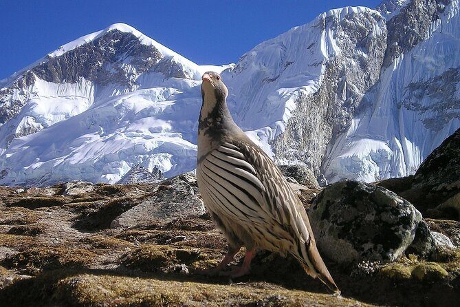 Everest Base Camp Trek with Kathmandu Valley Sightseeing Tour - Guesthouses, Porters, and Local Support That Make Life Easier