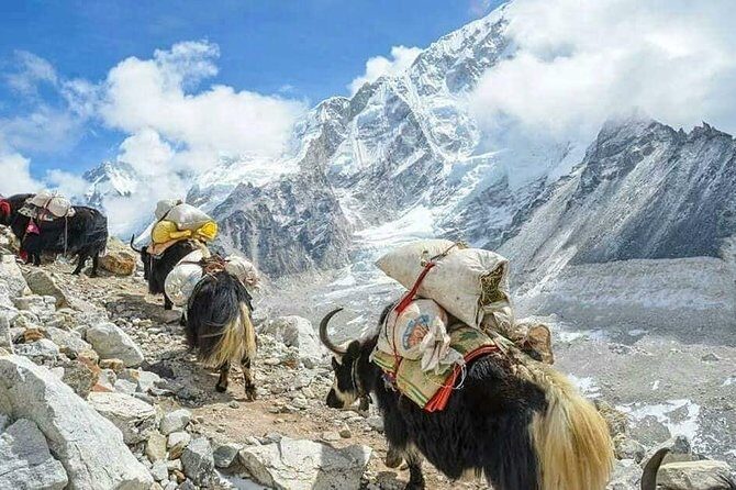 Everest Base Camp With Chola Pass via Gokyo Lakes - Namche Bazaar acclimatization: slow hike, big payoff