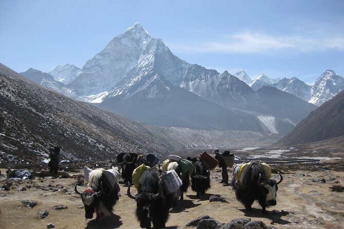 Everest Three (High) Passes Trekking - Your guide team: support you can count on