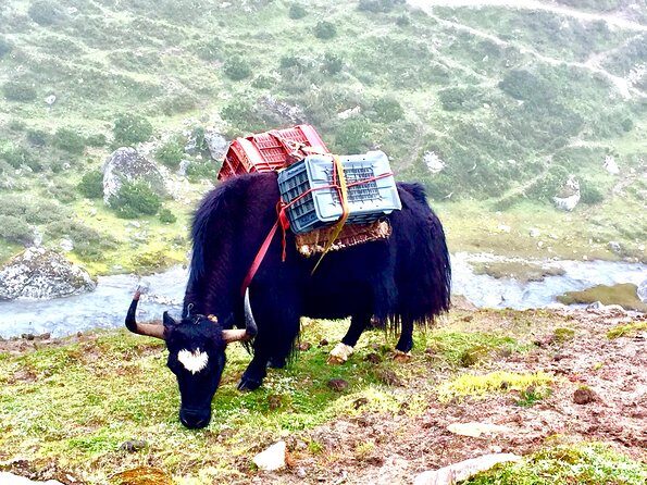 Everest View Trek - 7 Days - Namche to Khumjung: Sherpa culture and the Yeti scalp story