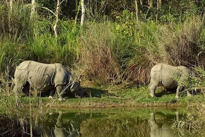 Explore Nepal In A Week – 7 Days - Flight to Pokhara: Seti Gorge, Waterfalls, Caves, and Phewa Lake