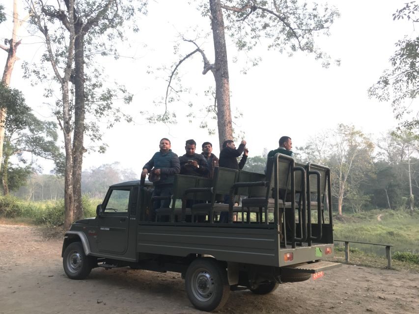 From Chitwan : Jeep Safari,Canoeing,Forest walk Day Tour - Chitwan Jeep Safari: The Fast Start for Rhinos, Deer, and Birds