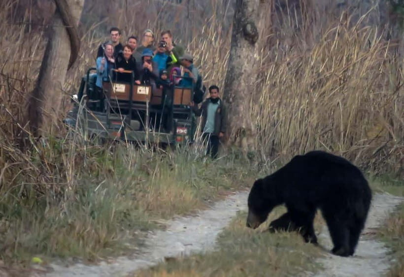 From Kathmandu/Pokhara: 3-Day Chitwan National Park Tour - First Stop: Getting From Kathmandu or Pokhara to Sauraha