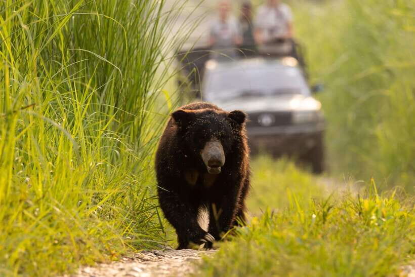 From Kathmandu/Pokhara: 3-Day Chitwan National Park Tour - Day 3: Breakfast and Departure