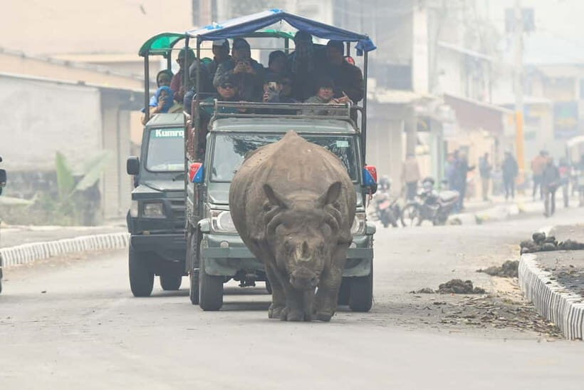 From Kathmandu/Pokhara: 3-Day Chitwan National Park Tour - What’s Included (And What You’ll Want to Budget For)