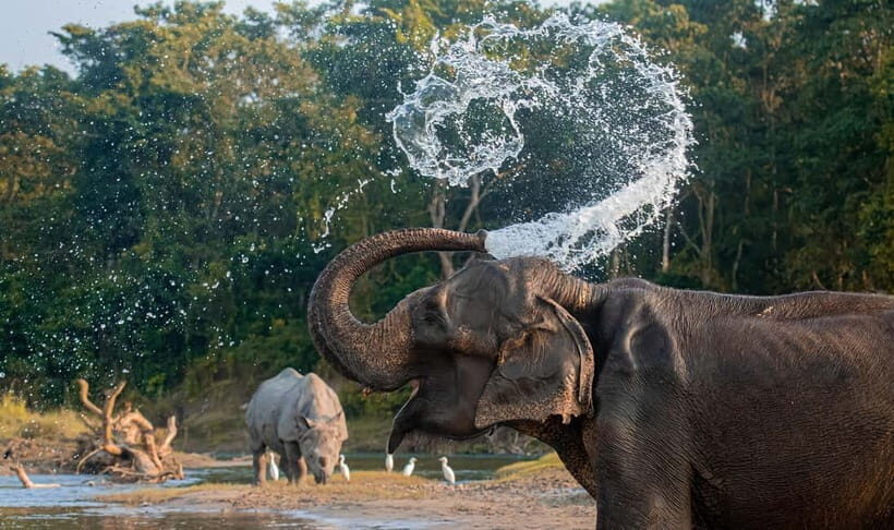 From Kathmandu/Pokhara: 3-Day Chitwan National Park Tour - Who This Tour Fits Best (And Who Should Skip It)