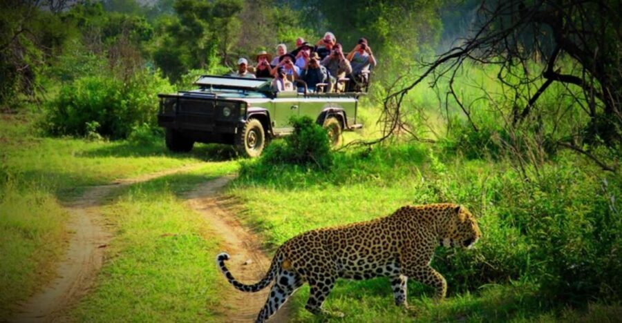 From Kathmandu/Pokhara: Private 3-Day Chitwan Safari Tour - Key highlights worth your attention
