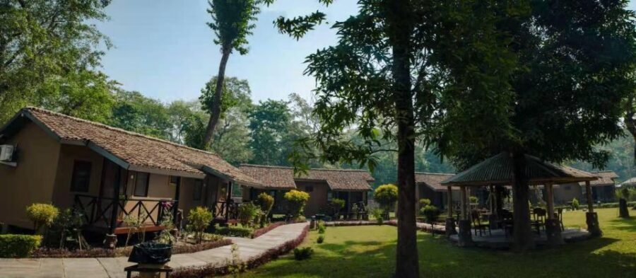 From Kathmandu/Pokhara: Private 3-Day Chitwan Safari Tour - Day 2: Jeep safari for big wildlife, then Rapti River calm after lunch