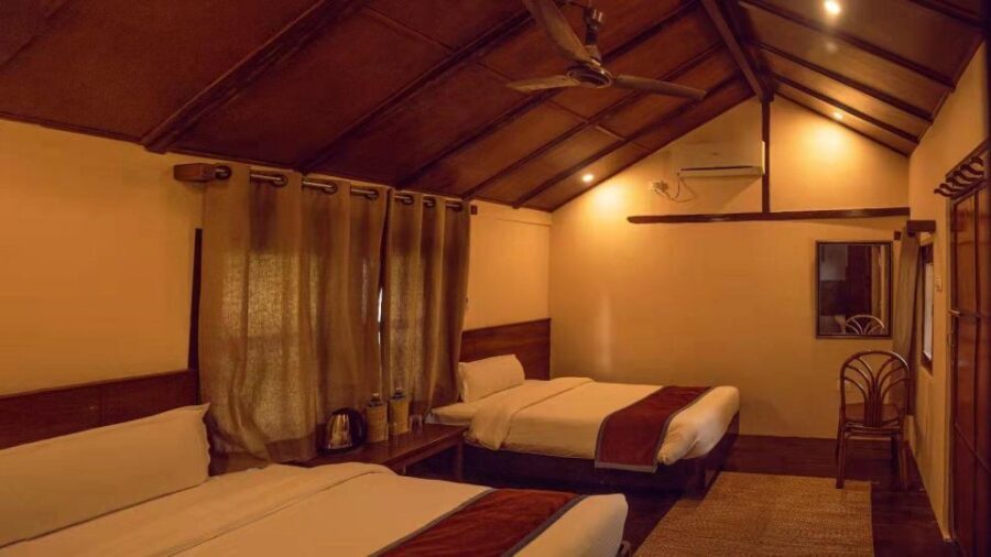 From Kathmandu/Pokhara: Private 3-Day Chitwan Safari Tour - Price and value: what $168 per person gets you for 3 days