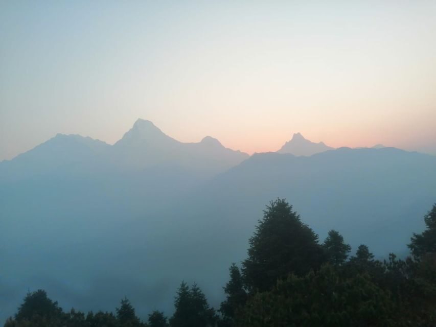 From Pokhara: 10-Day Poon Hill and Annapurna Base Camp Trek - Ulleri steps and the rhododendron climb to Ghorepani