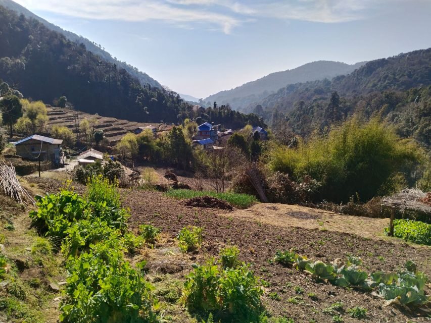 From Pokhara: 10-Day Poon Hill and Annapurna Base Camp Trek - Chhomrong and Machhapuchhre views: Gurung village life on the way up