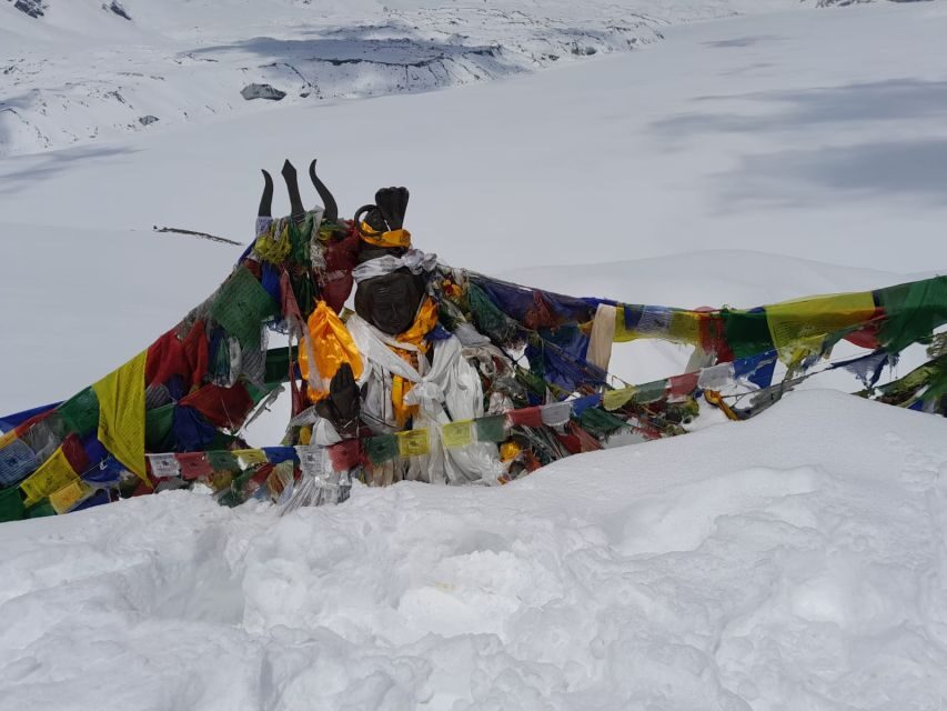 From Pokhara: 10-Day Poon Hill and Annapurna Base Camp Trek - Base Camp to Jhinu Danda hot springs: recovery with a view