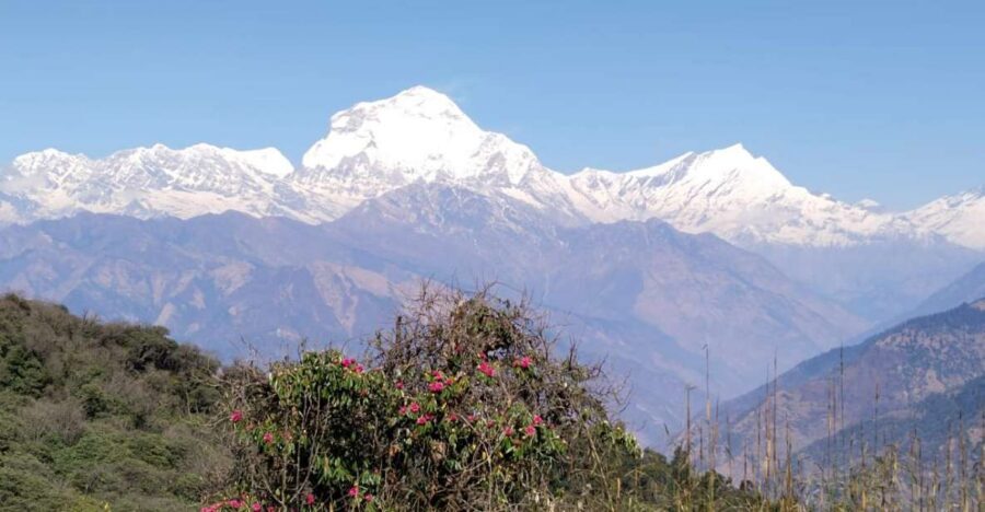 From Pokhara: 4-Day Annapurna and Poon Hill Himalayan Trek - Day 3 Jhinu Hot Springs and the Gurung Village of Ghandruk
