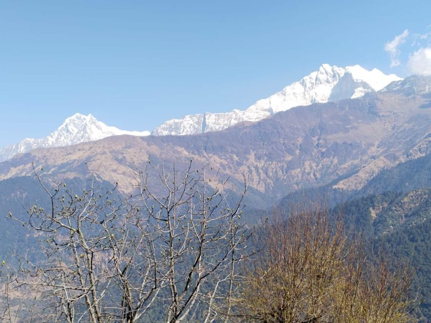 From Pokhara: 4-Day Annapurna and Poon Hill Himalayan Trek - Price and Value: Is $287 Fair for This 4-Day Trek?