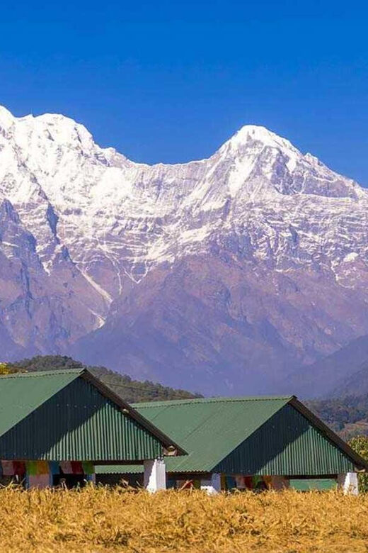 From Pokhara: Annapurna View Day Hike - Price, Inclusions, and Real-World Value at $37