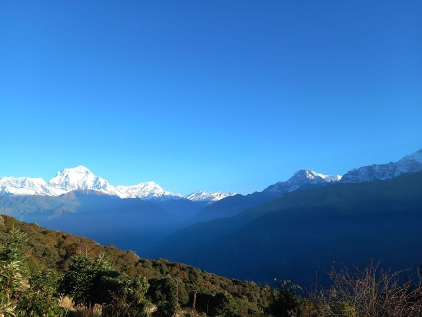 From Pokhara: Australian Camp & Dhampus 1, or 2-Day Trek - 1-Day Express Plan: A Focused Climb, Fast Views, and a Downhill Return