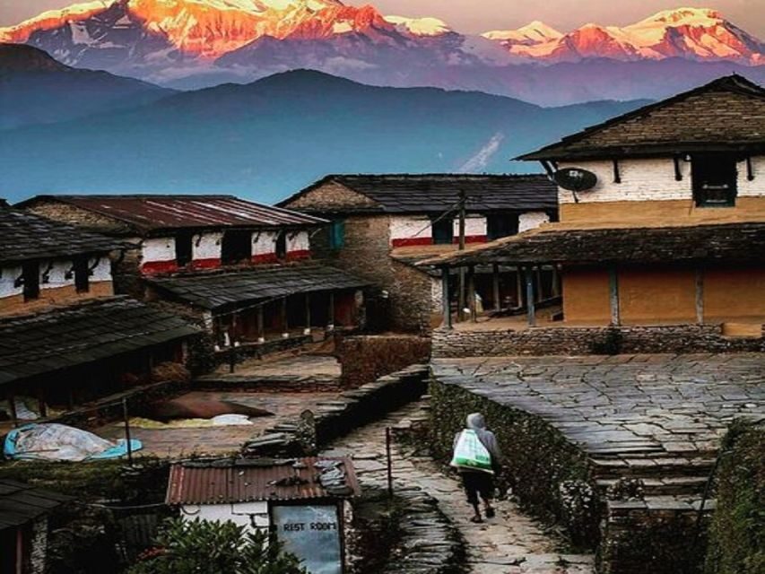 From Pokhara: Guided Tour to Visit 4 Himalayas View Point - Dhampus village walk: terraced views and Gurung culture