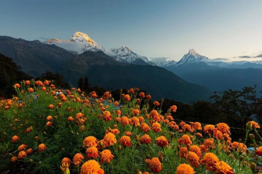 From Pokhara: Guided Tour to Visit 4 Himalayas View Point - Price and value: what $93 buys you in Pokhara