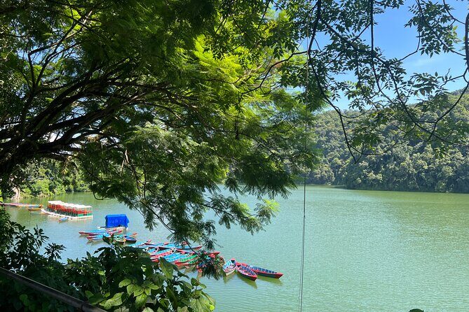 From Pokhara : Hiking to Peace Pagoda via Fewa Lake & Jungle - Should you book this tour?