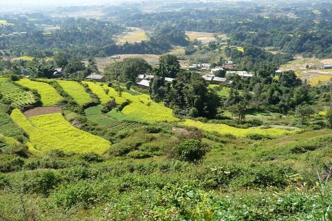 Full Day Bhaktapur Changunarayan And Nagarkot Tour in Nepal - Changunarayan: The Temple Stop That Rounds Out the Day