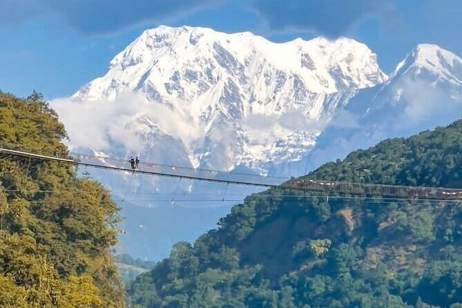 Full day Suspension Bridge, Boating, George, Sightseeing Tour - Key takeaways before you go