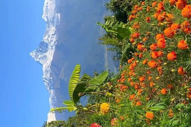 Full day Suspension Bridge, Boating, George, Sightseeing Tour - Bindhyabasini Temple, the mountain museum, and Phewa Lake boating