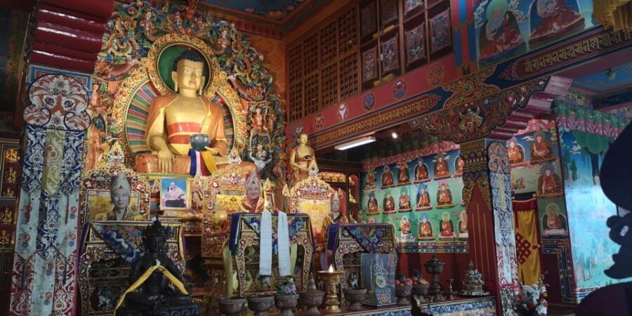 Full Day Tibetan Cultural Tour - Hemja Tibetan refugee camp: tea, snacks, and seeing history in place