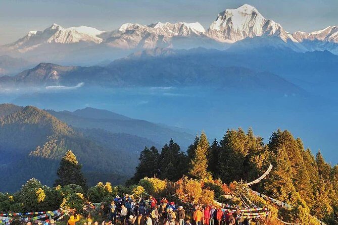 Ghorepani Ghandruk Trek ( Poon Hill circuit, Annapurna sunrise view trek) - The Trail From Nayapul: Ulleri’s Stair Climb Through Forest