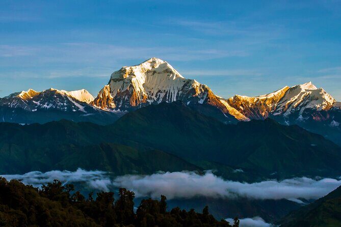 Ghorepani - Poon Hill Trek – 5 DAYS - Ulleri’s Stair Test: Suspension Bridges, 3,300 Steps, and Rhododendron Forest