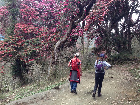 Ghorepani Poon Hill Trek - Meals, coffee/tea, and what’s included vs not